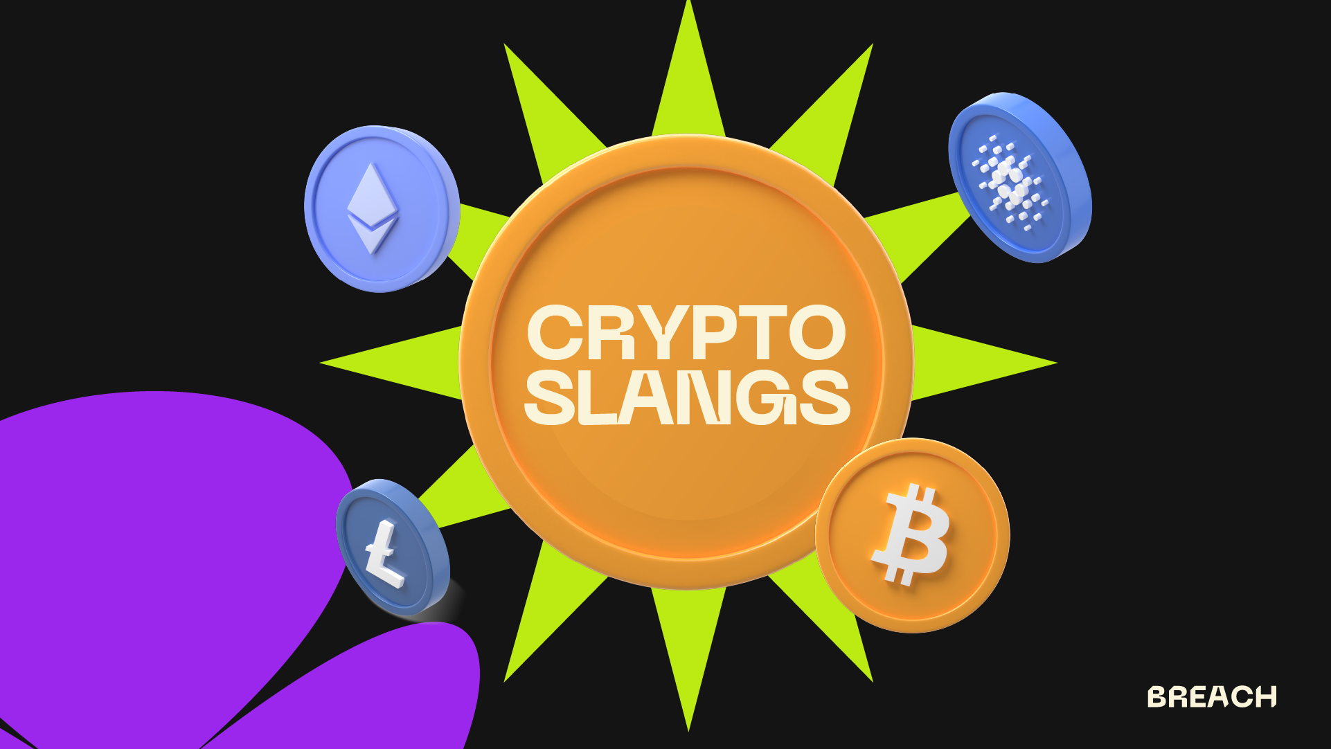 Crypto newbie? 8 slangs you should definitely know | by Breach | Medium