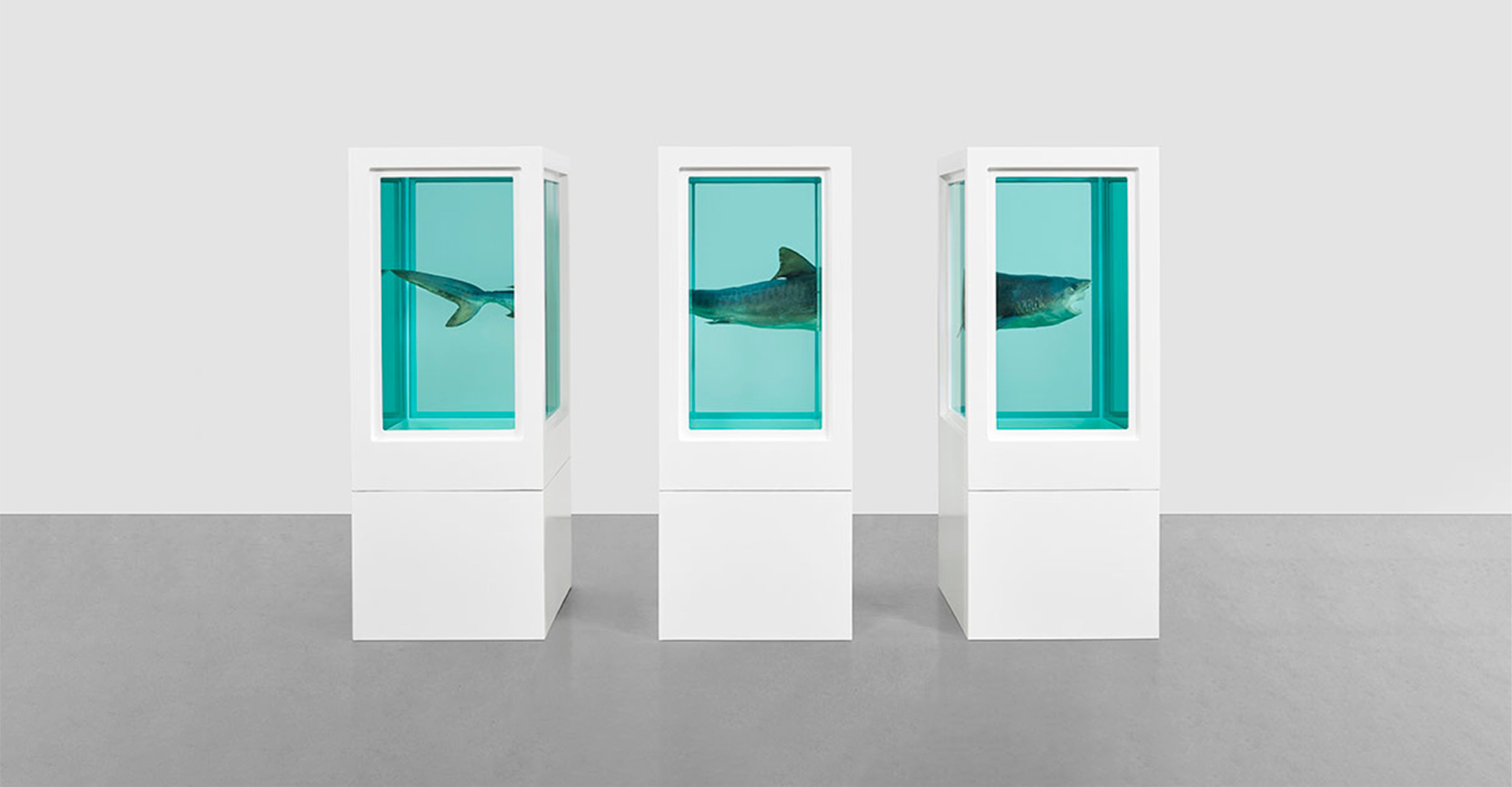 Damien Hirst – End of a Century. A show → by the artist → of his