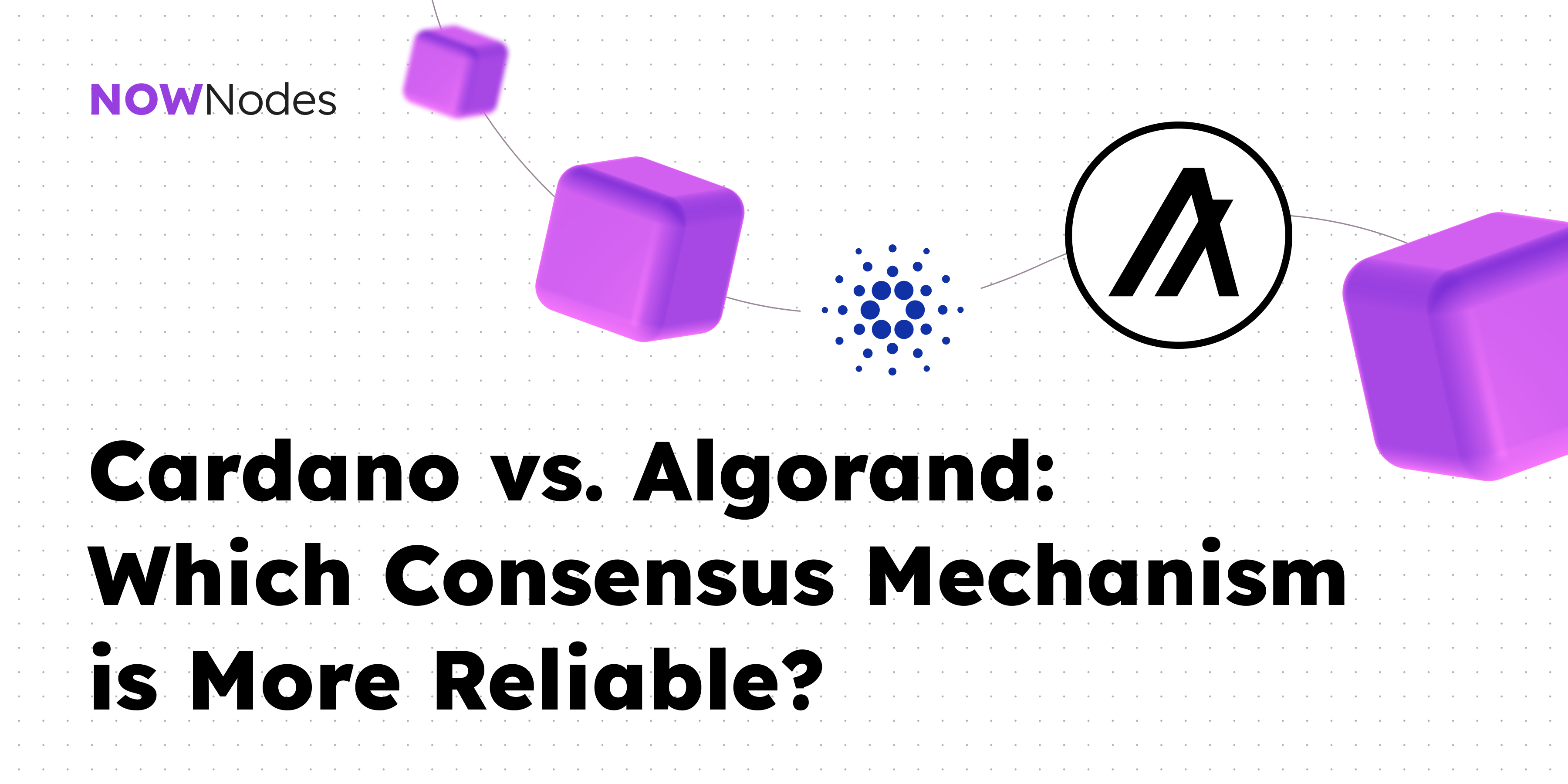 Cardano vs. Algorand: Which Consensus is More Reliable? | by NOWNodes |  Medium