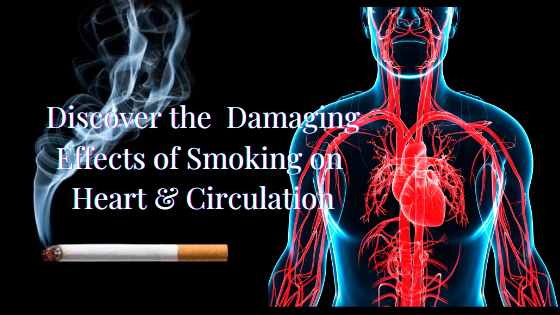 Discover 7 Key Benefits How Quitting Smoking Prevents Damage to your Heart  & Circulation | by Julie Doherty