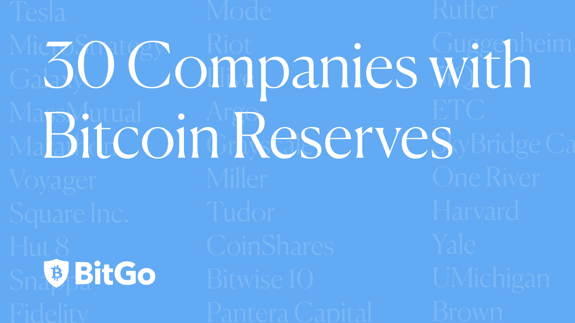 Meet the 30 Private & Public Companies with Bitcoin Reserves Totaling Over  $55 Billion | by BitGo Editor | Official BitGo Blog