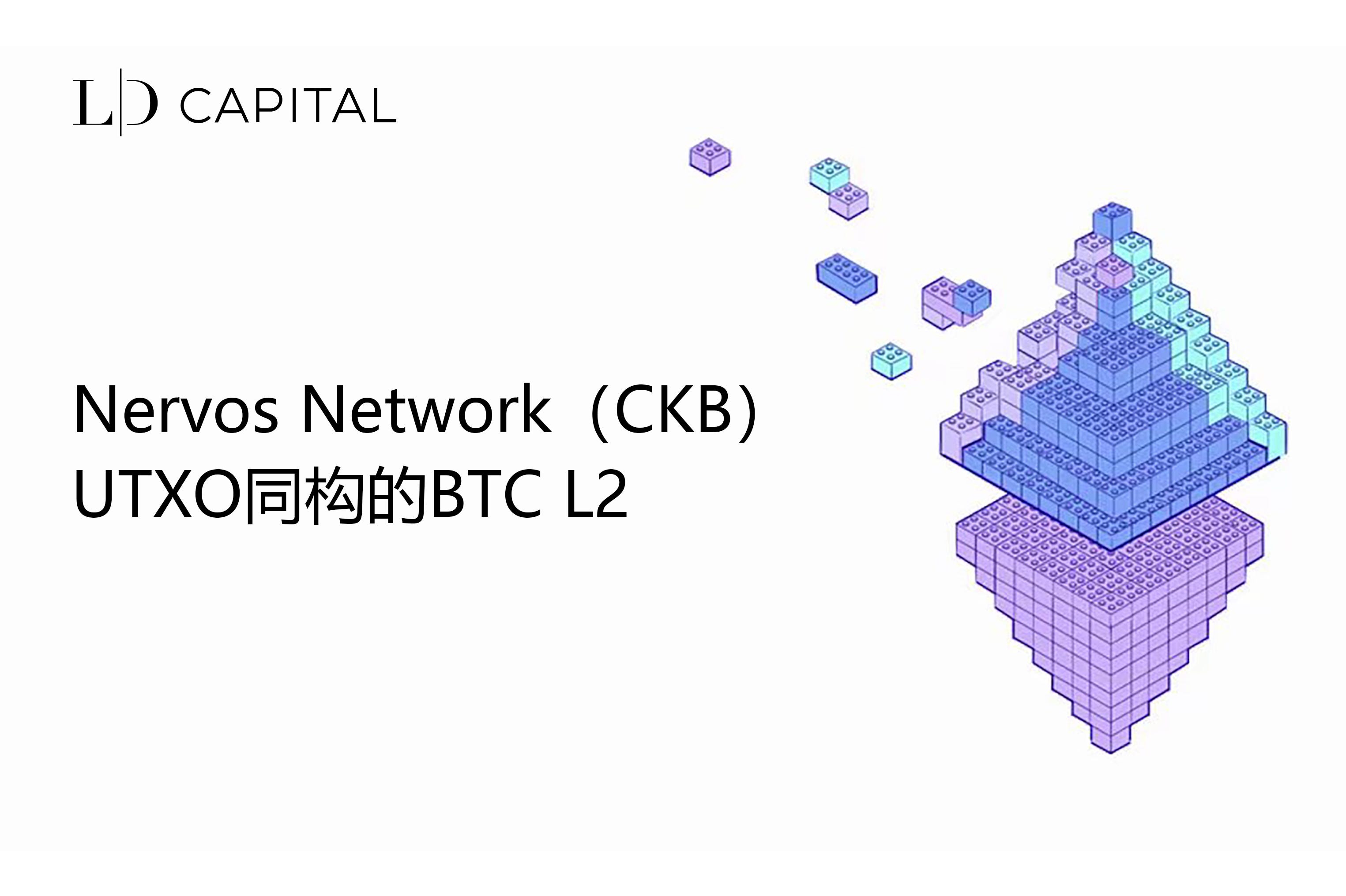 LD Capital: Nervos Network（CKB）：UTXO同构的BTC L2 | by LD Capital | Medium