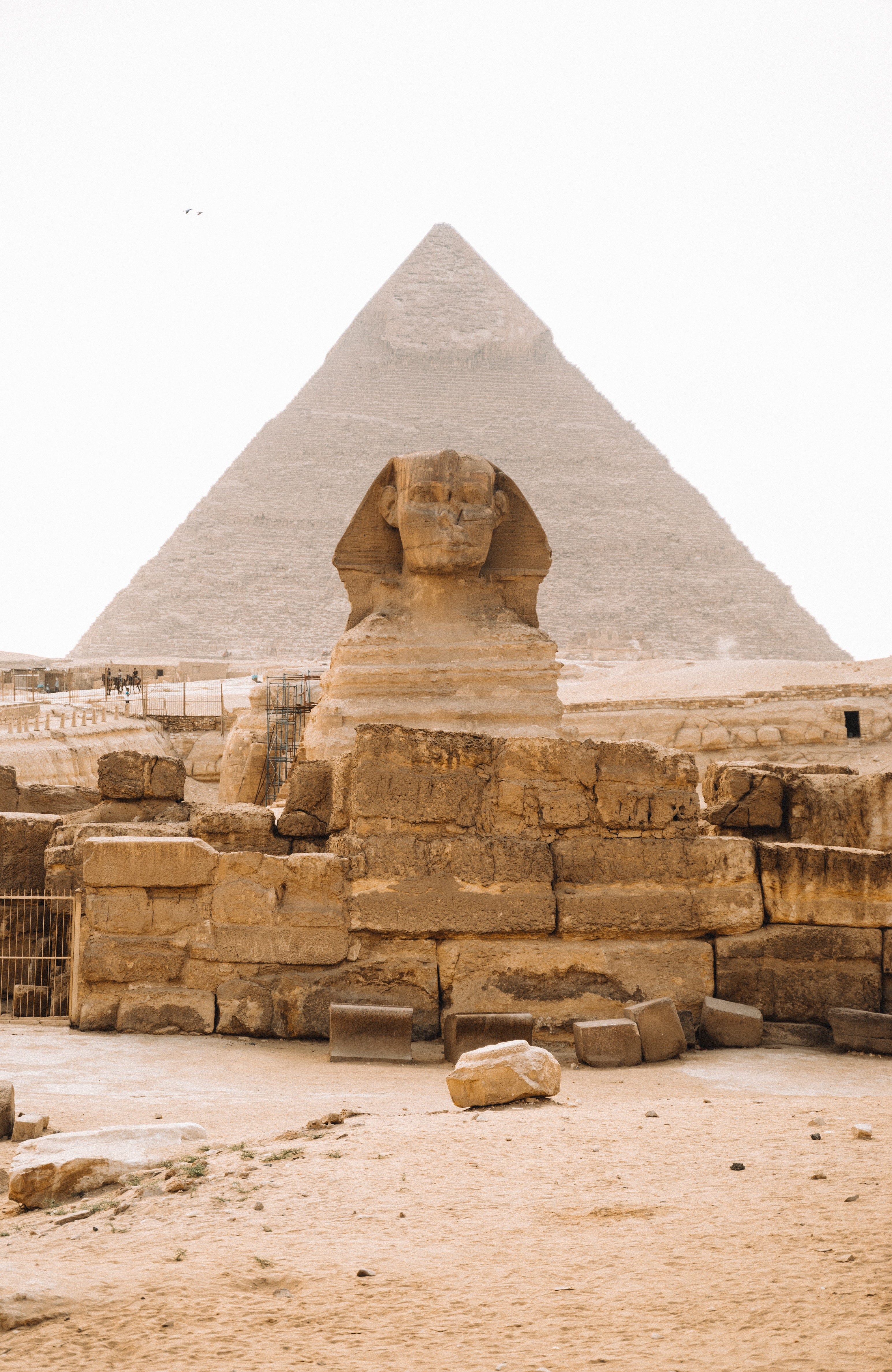Sphinx/The Deep Ends Of The Deep　他 The Deep Ends Of The Deep | Sphinx