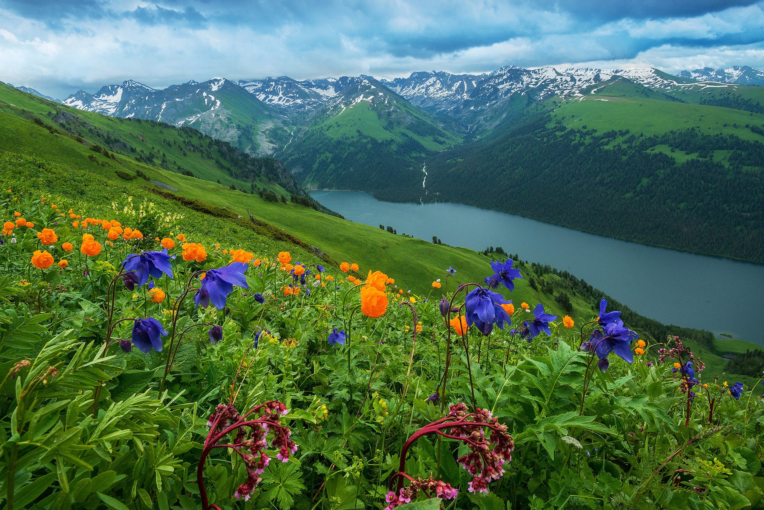Stunning Animal Scenes You Can Capture on the Camera in the Altai Mountains  | by Yelena Filatova | Medium, image size:2500x1669
