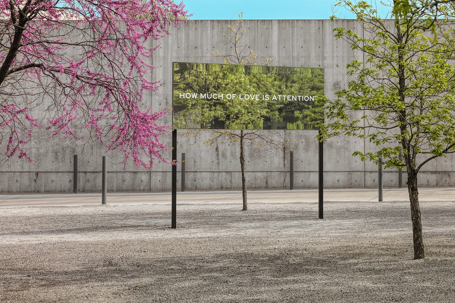 Chloë Bass: Wayfinding (Capsule Review)