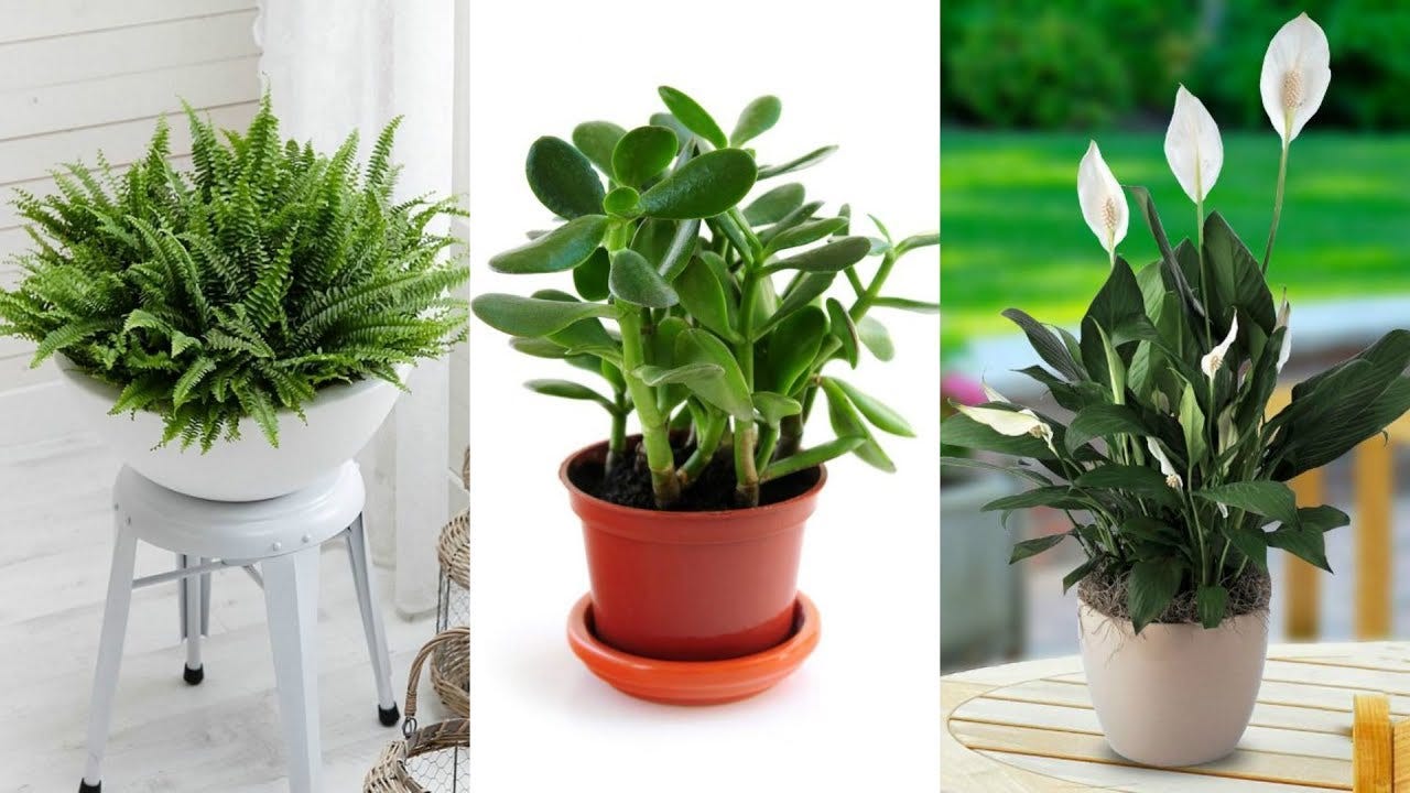 decorative indoor plant pots Rustic Brown Small Flower Pots 3 Pack