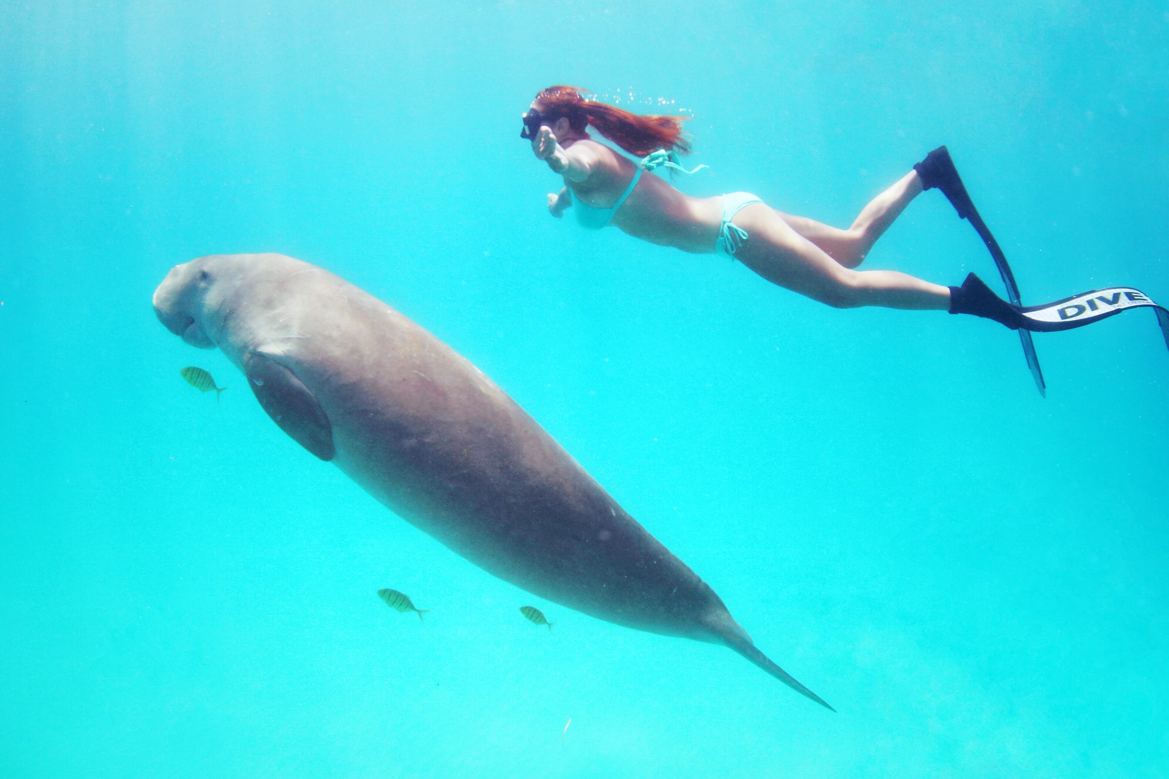 一山] Aqua Planet折扣票- KKday, image size:2272x1514