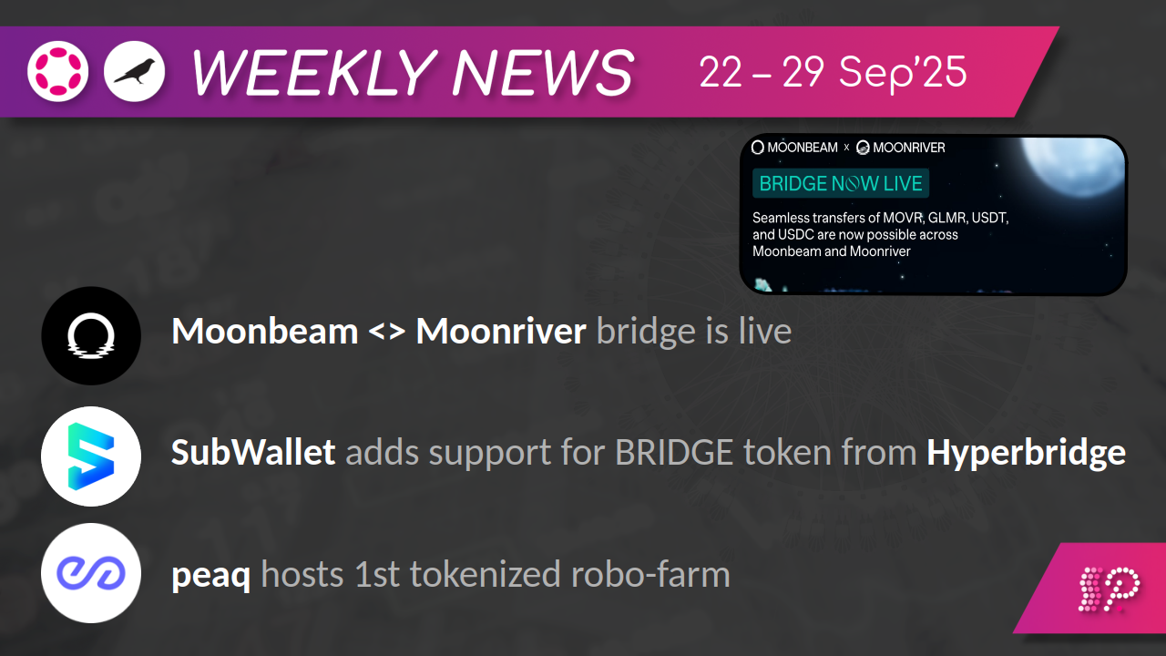 Weekly News from Polkadot & Kusama #191 | by Polkadotters | Kusama &  Polkadot validators | Medium