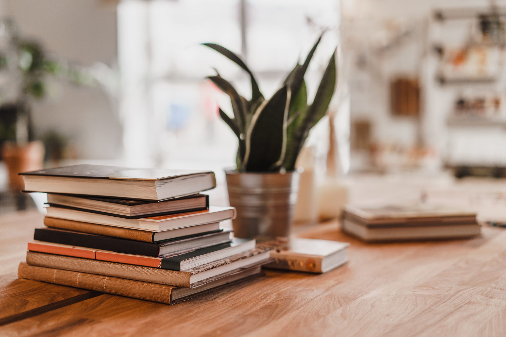 The Metamorphic Power of Books. How I became an avid reader—and the… | by  Emily Rudow | Better Humans