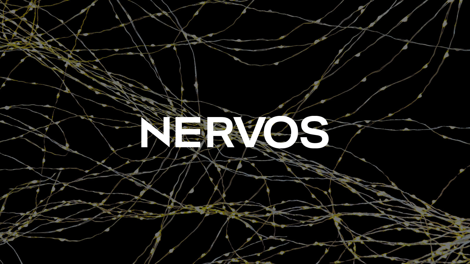 All you need to know about the Nervos Network | by FMFW.io | FMFW.io |  Medium