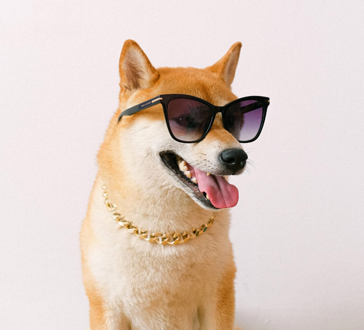 I love dogs: Getting rich from $200, my year in crypto (Week 21/52) | by  Thomas Shearman | blockchainwriter | Medium