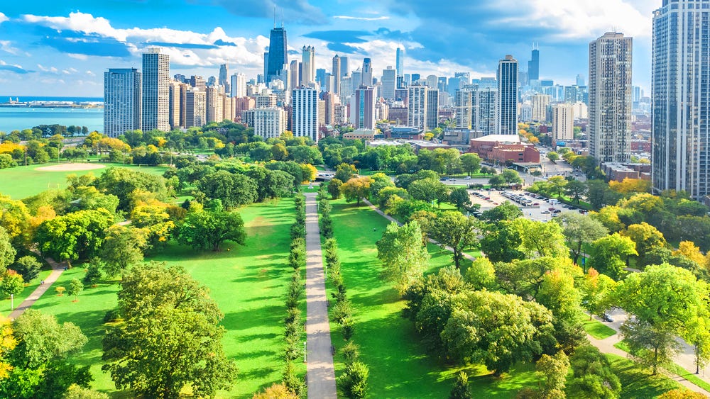 How Plants Can Help Cities To Improve Urban Air Quality | by Dr. Erlijn van  Genuchten | Climate Conscious | Medium