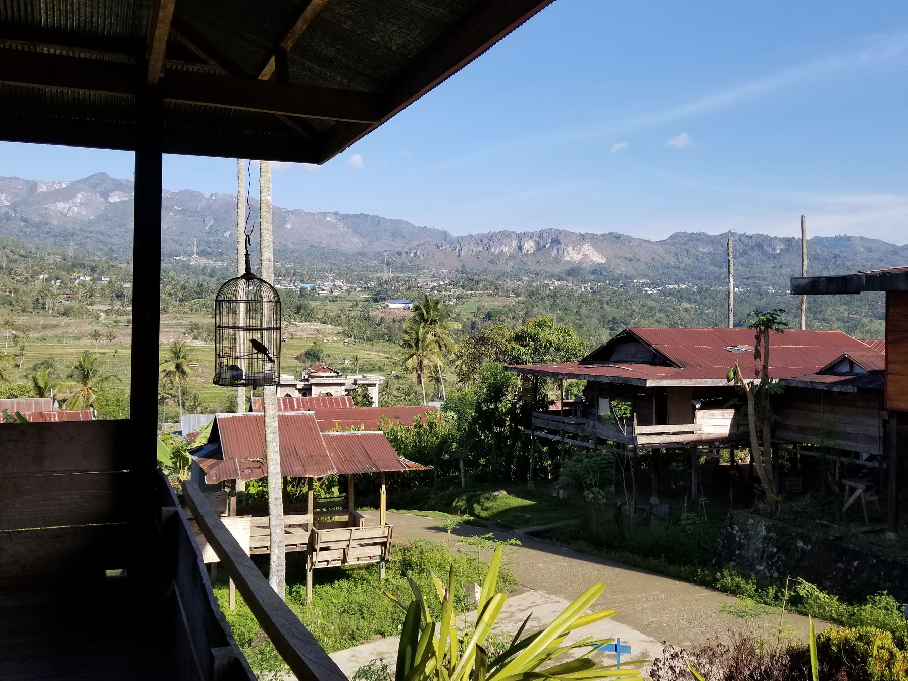 インドネシアの山奥にて、畑は国際経済の一部. インドネシアの