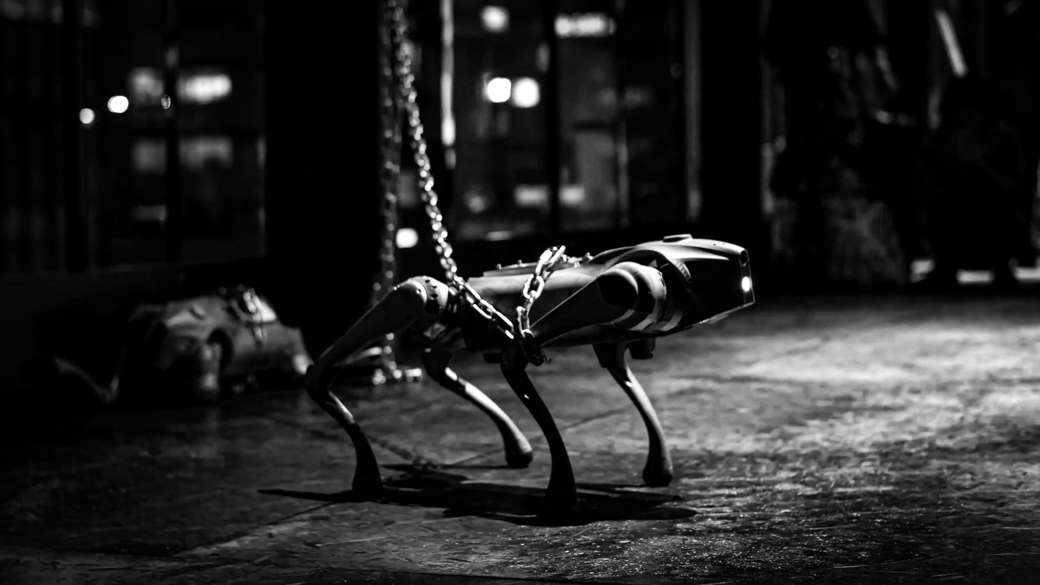 Robots Don’t Feel Pain. Why Does Watching Their Abuse Feel Wrong?