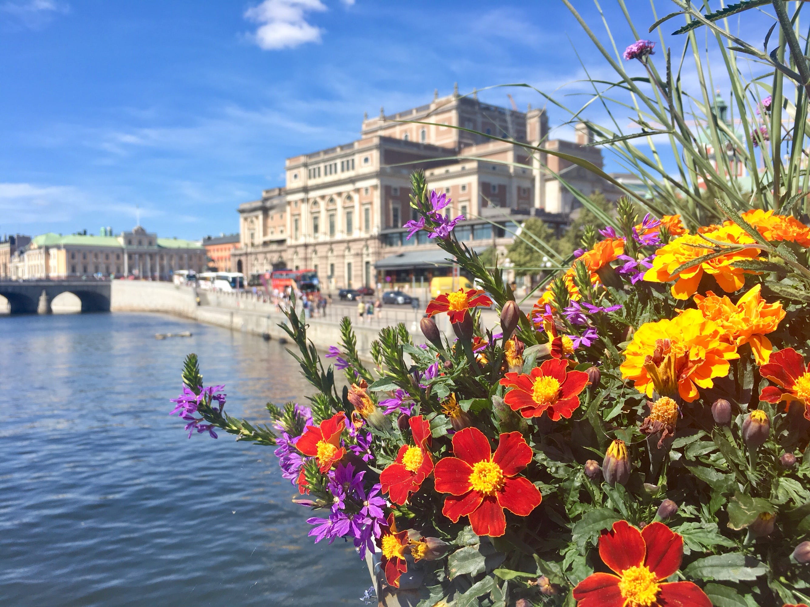 Stockholm, Sweden sights bites highlights: 3 hour whirlwind