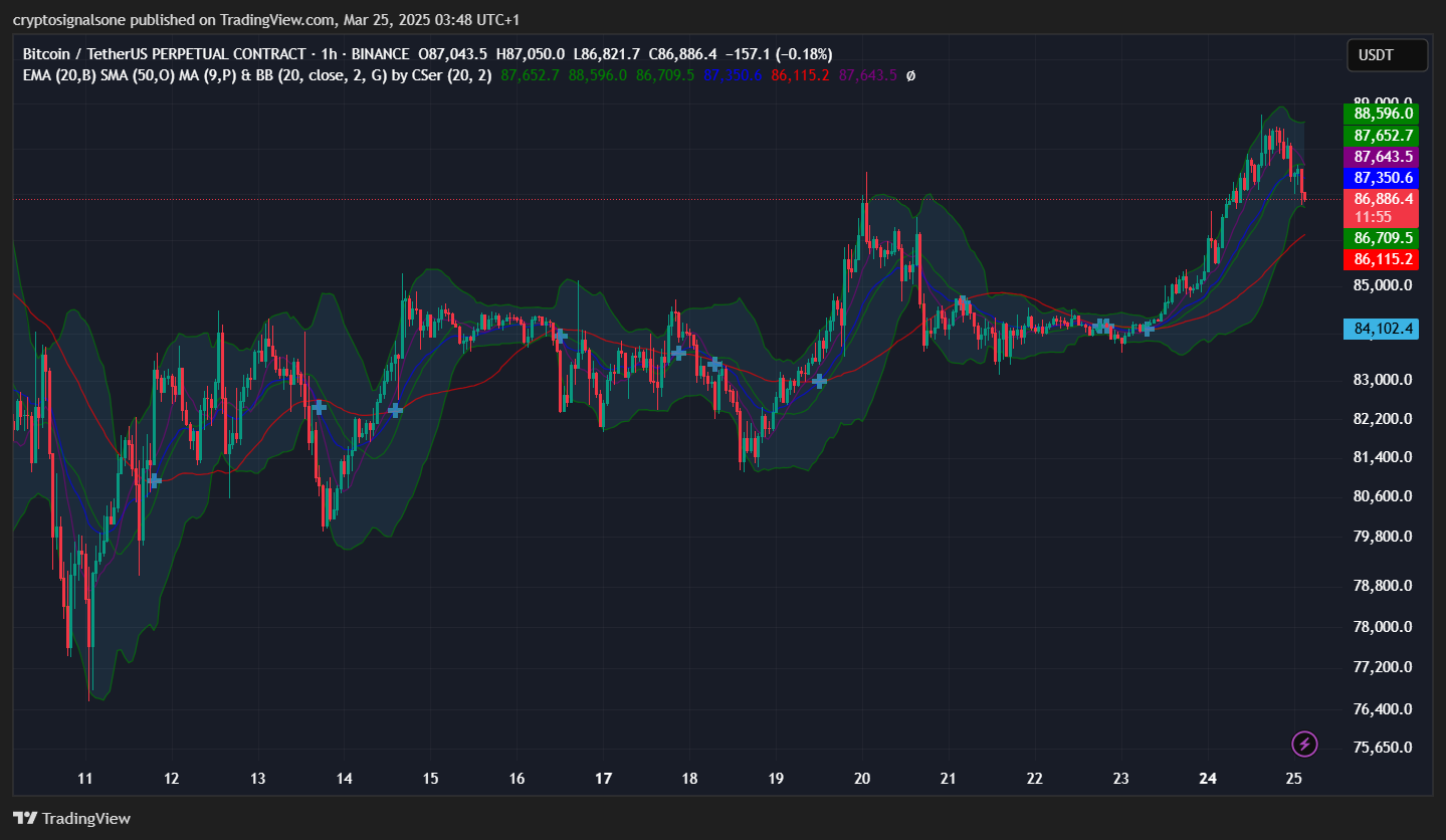Bitcoin (BTC/USDT) 1-Hour Chart: What Could Happen Next Today? | by Gabriel  R. | Crypto & Trading | Medium