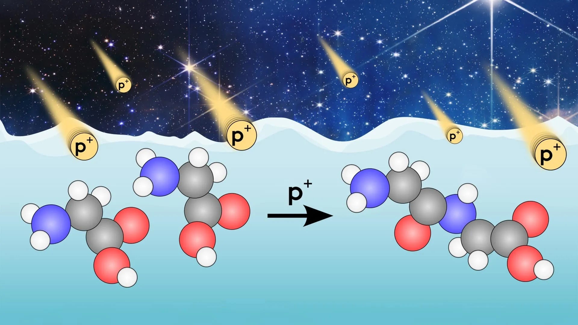 Peptides, the Building Blocks of Life, Could Form on Interstellar Dust
