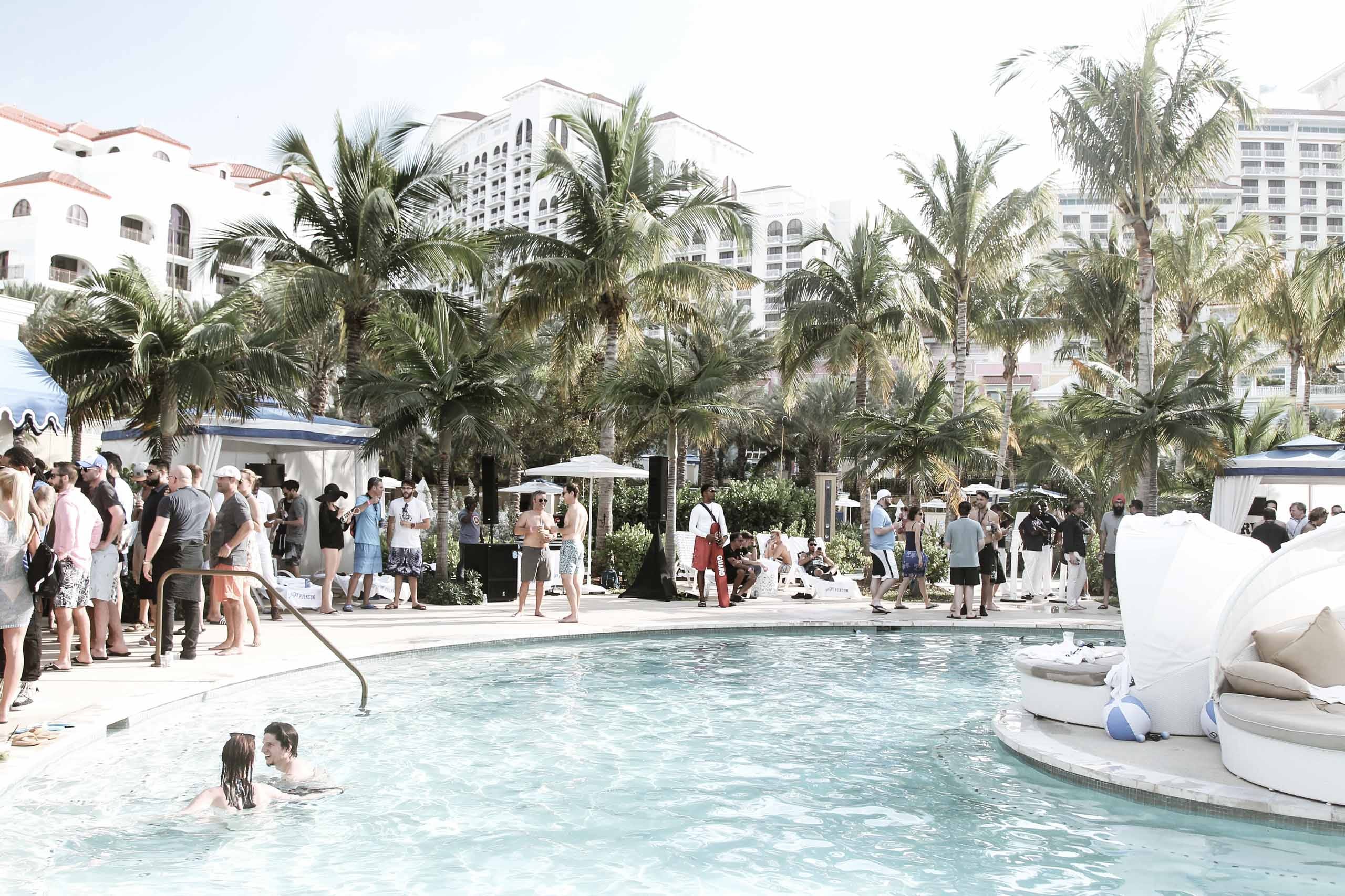 Polymath becomes one of the largest Telegram groups in the world | by  Polymath | Polymath Network