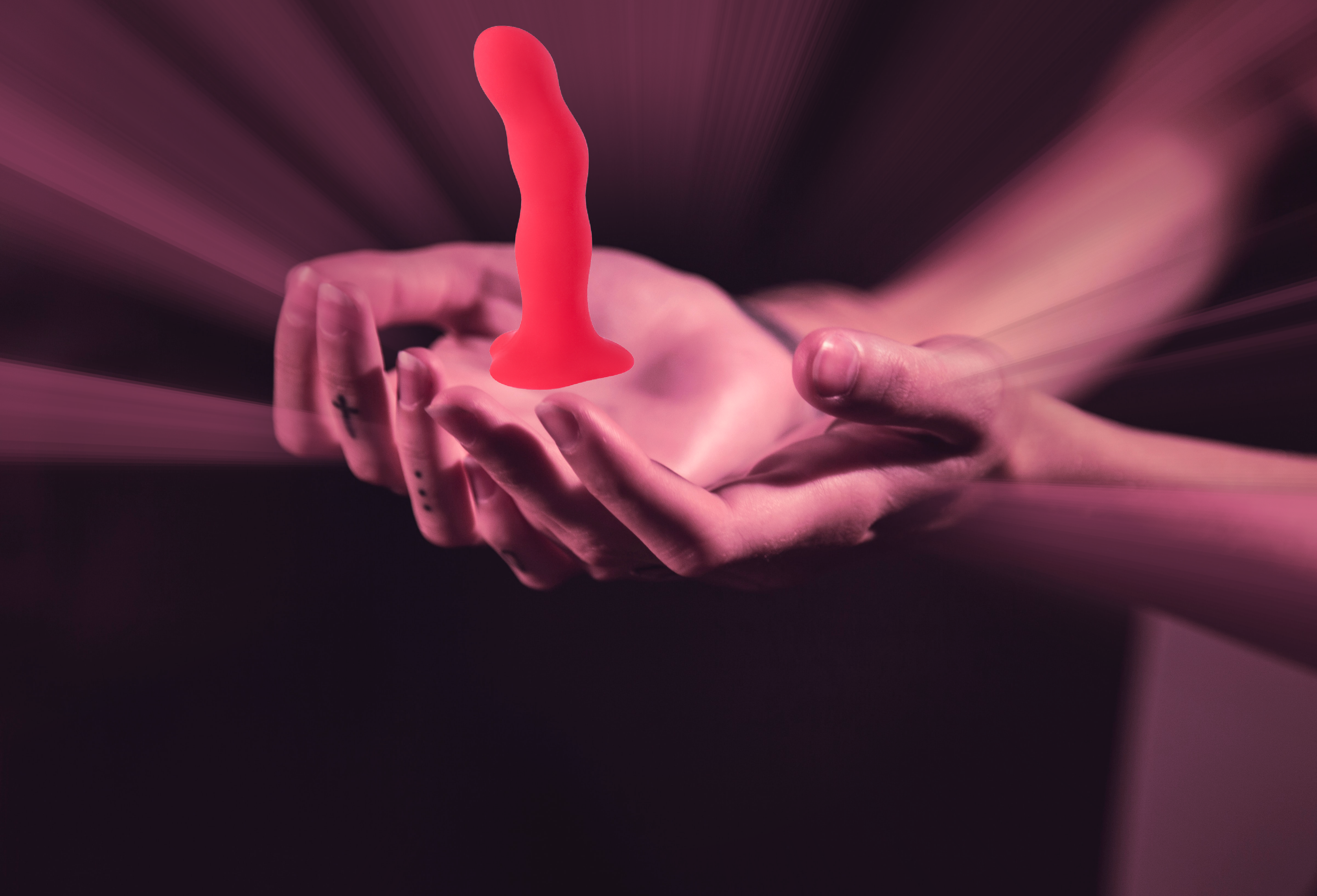 No Sex Toys In The House Of The Lord | by Veena Dinavahi | PULPMAG