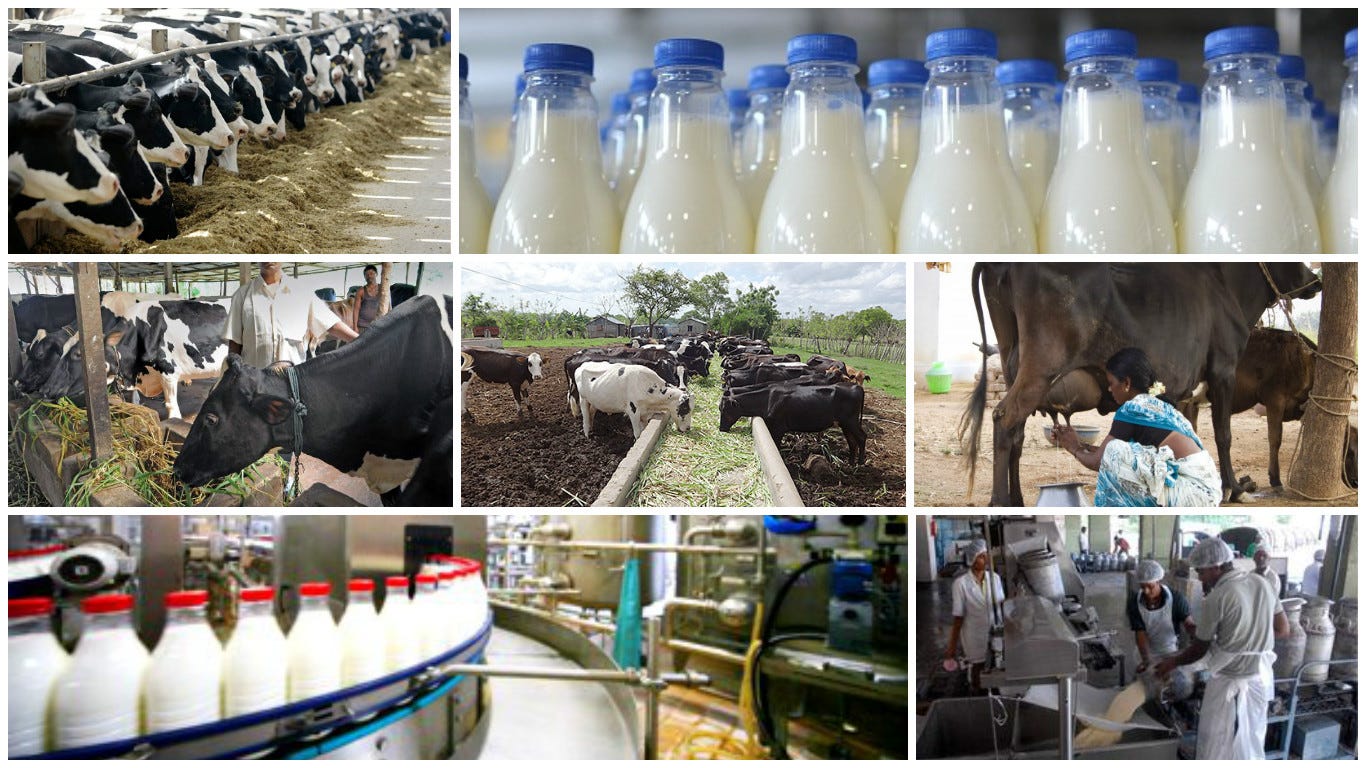 Functions involved in the dairy business in India | by Aakash Mehta | Medium, image size:1366x768