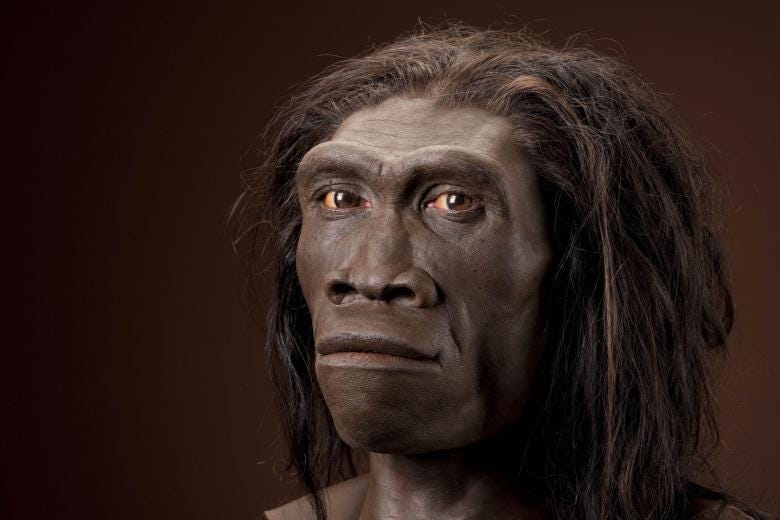 HOMO META. In Africa, Homo erectus (The Upright… | by KiNo | Medium