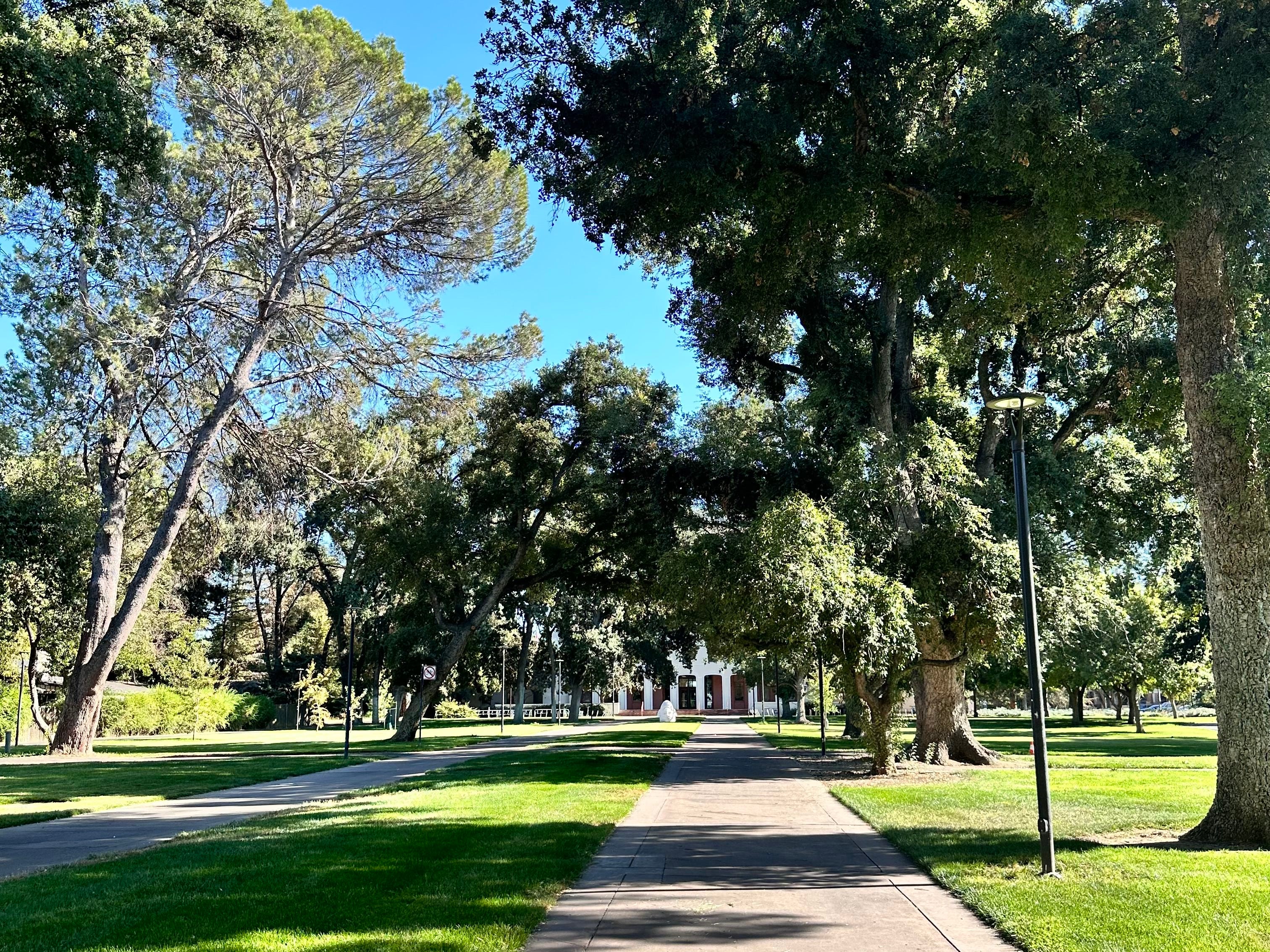 Golden Cuffs at UC Davis: How One University Locks Workers into Loyalty |  by Aggie Insider | Medium