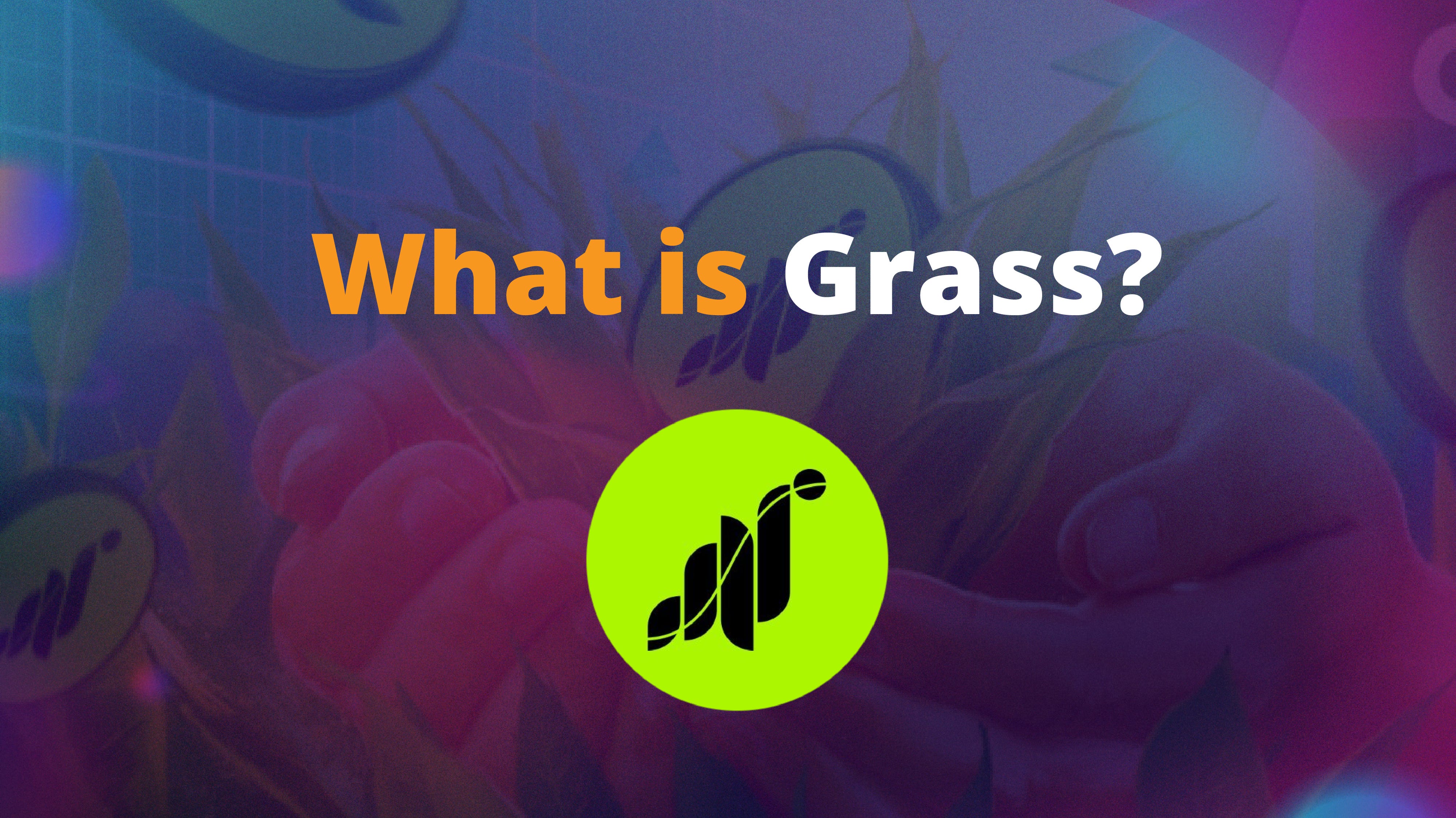 What is Grass Network?. Everything you need to know about Grass… | by  Slobodzeanb | Satoshi Club | Medium