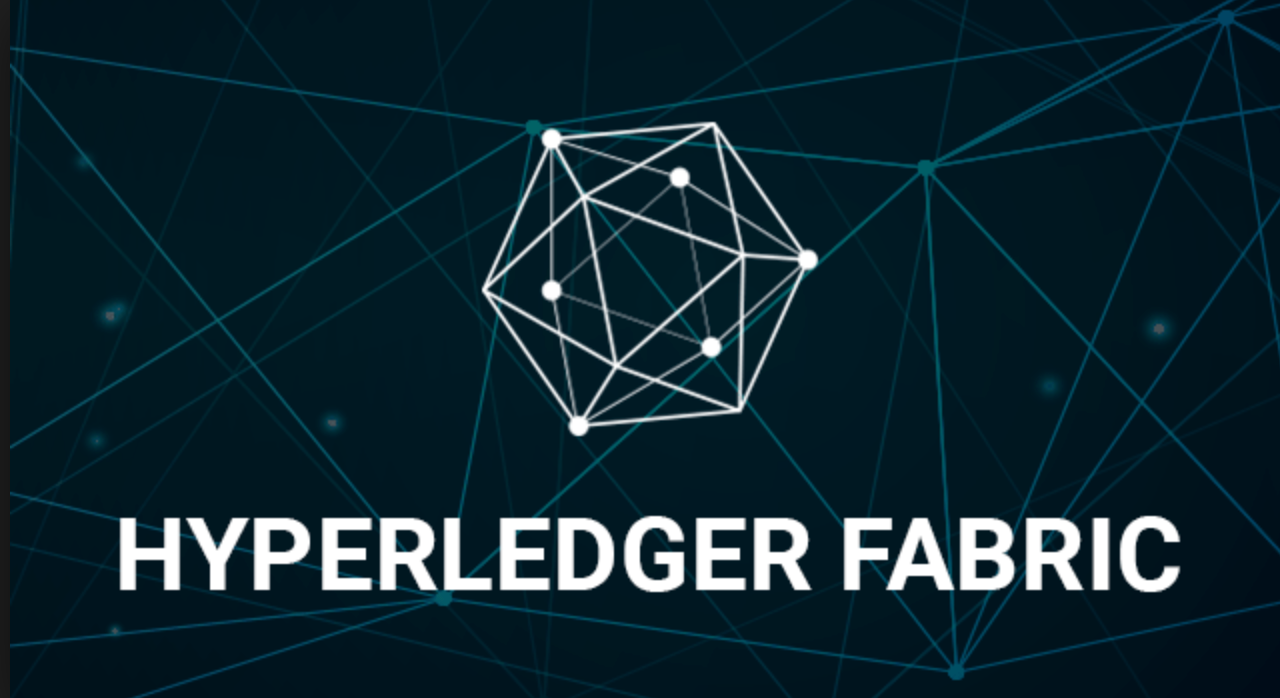 Introduction To Hyperledger Fabric | by Chandramohan Jagtap | Geek Culture  | Medium