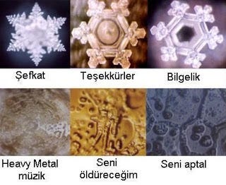 Su Kristalleri ve İnsan. Japon bilim insanı Masaru Emoto, su… | by Ayşenur | Medium