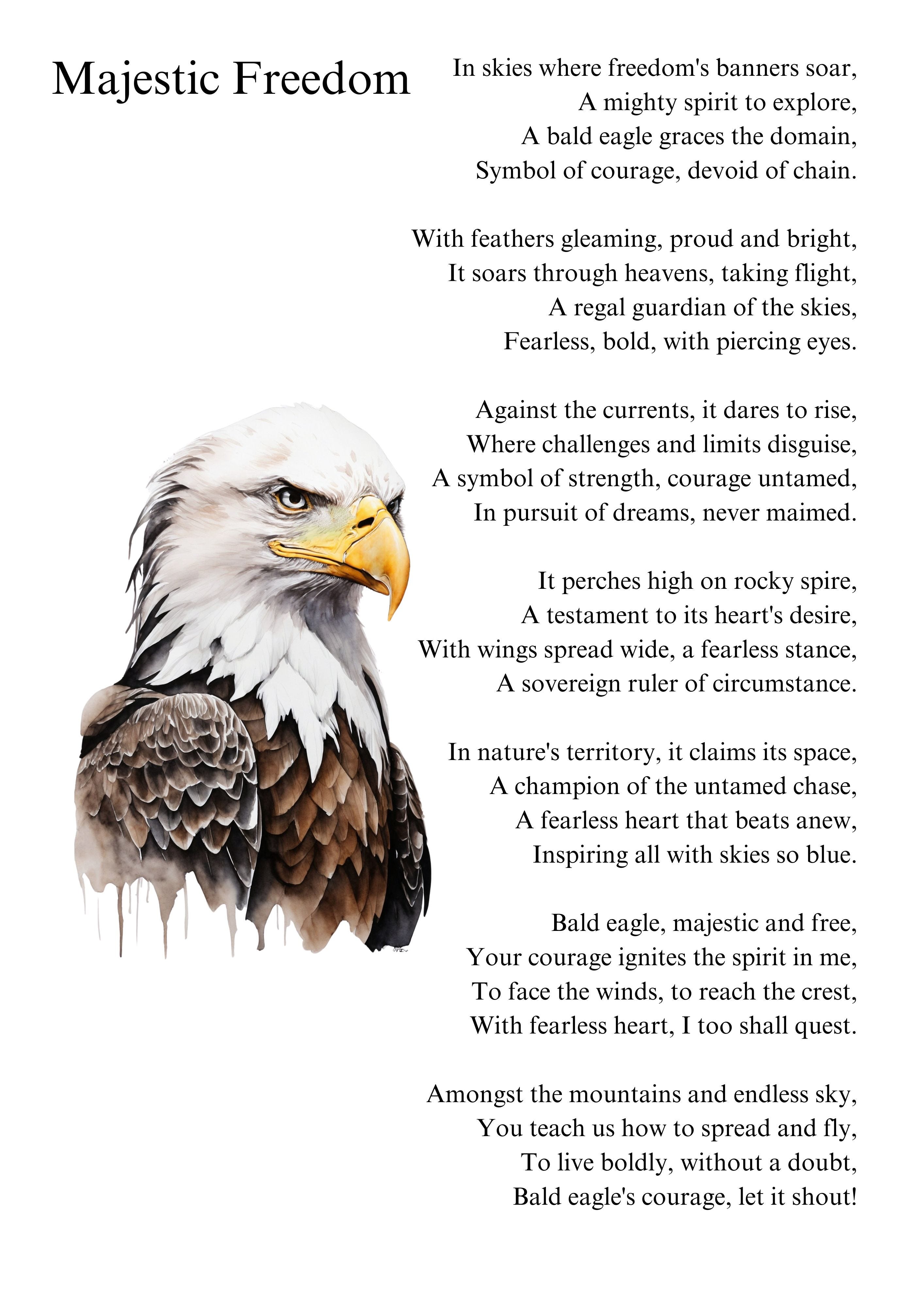 Kira - Handwritten font, image size:2828x4000