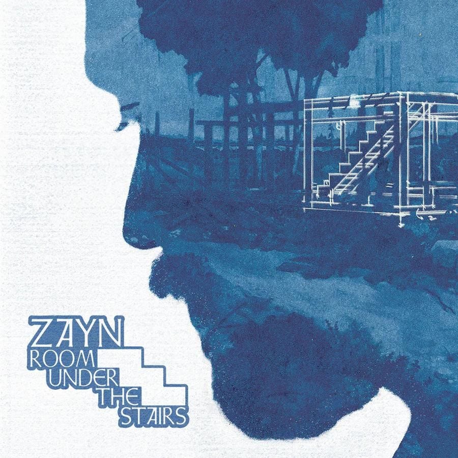 I'm sorry, Zayn Malik, I was unfamiliar with your game | by Emma