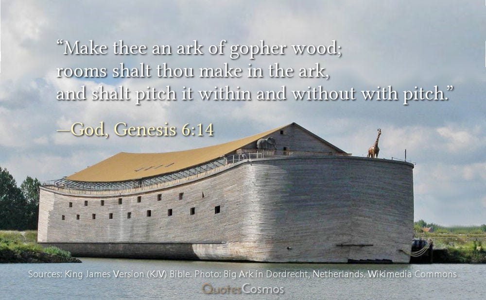 Noahs Ark Quotes