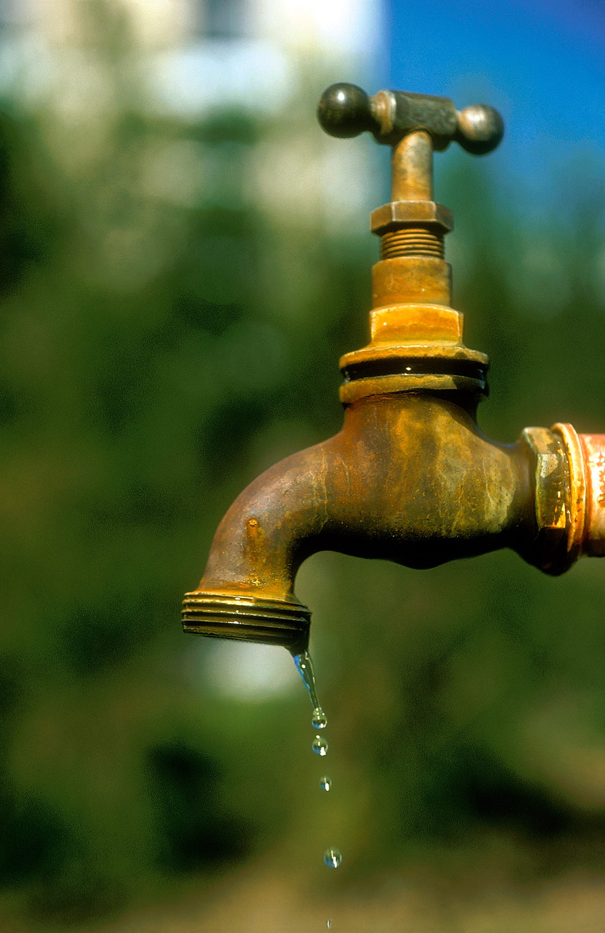 Dogecoin Faucet Strategy. ExpressCrypto is the New Coinpot | by Celan  Bryant | Medium