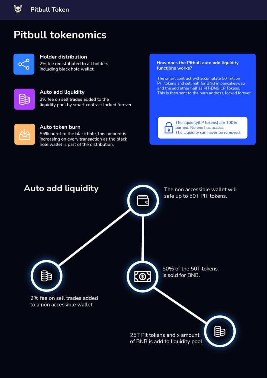 Why $Pitbull is safe by concept — How to spot a good and secure investment  | by Designing Tech | Medium