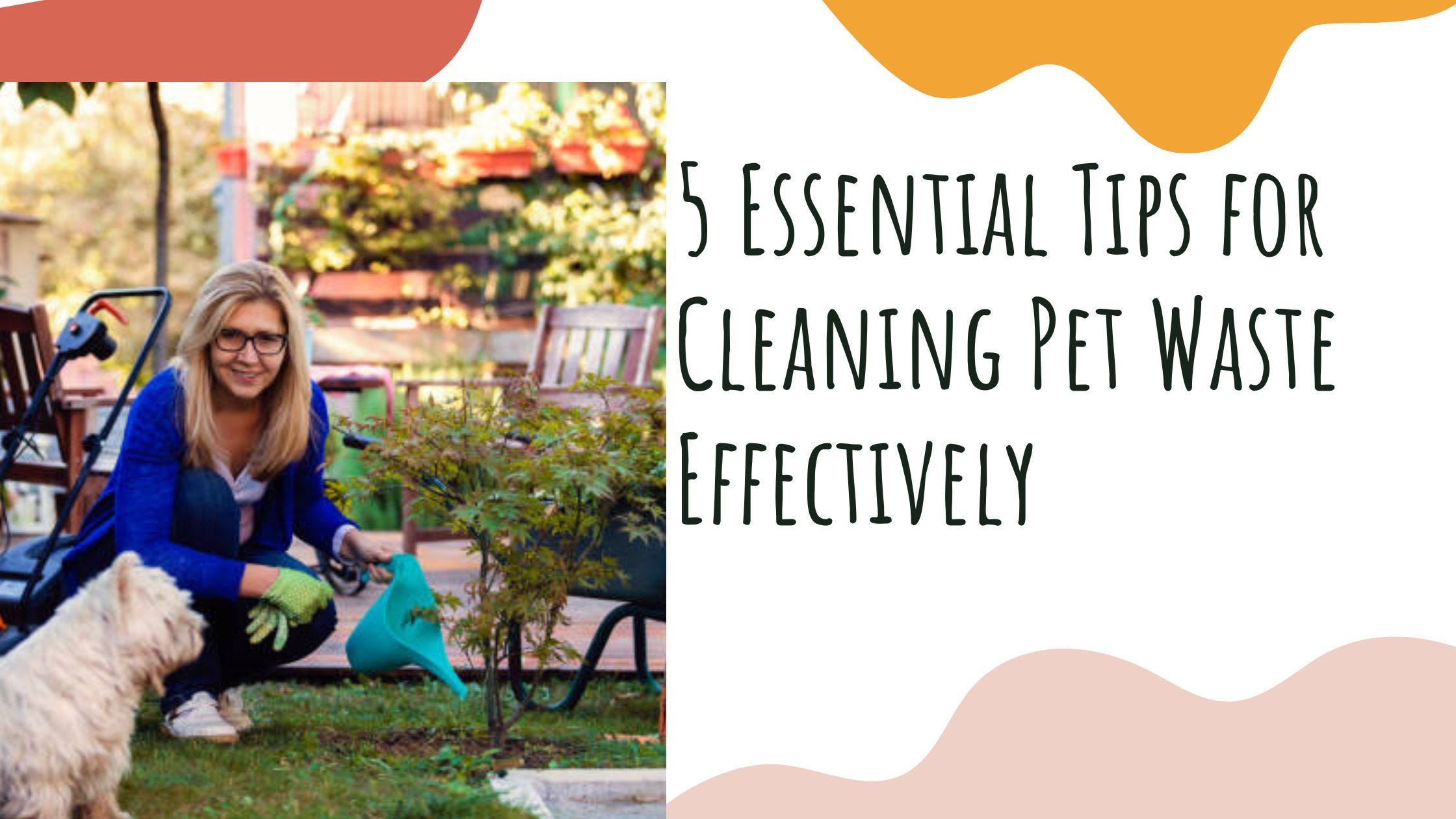 Tips for Cleaning Pet Areas: Essential Tricks for a Fresh Home