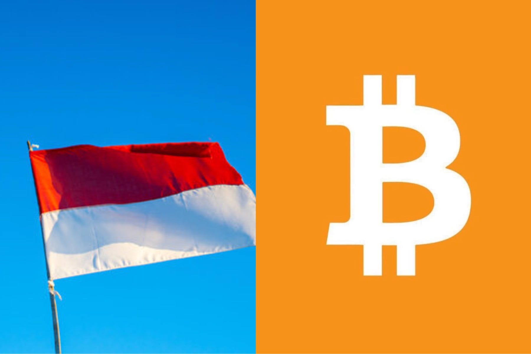 Earn Bitcoin & USDT: Buy Amazon Items for Shoppers | by Bitoff Magazine |  Medium