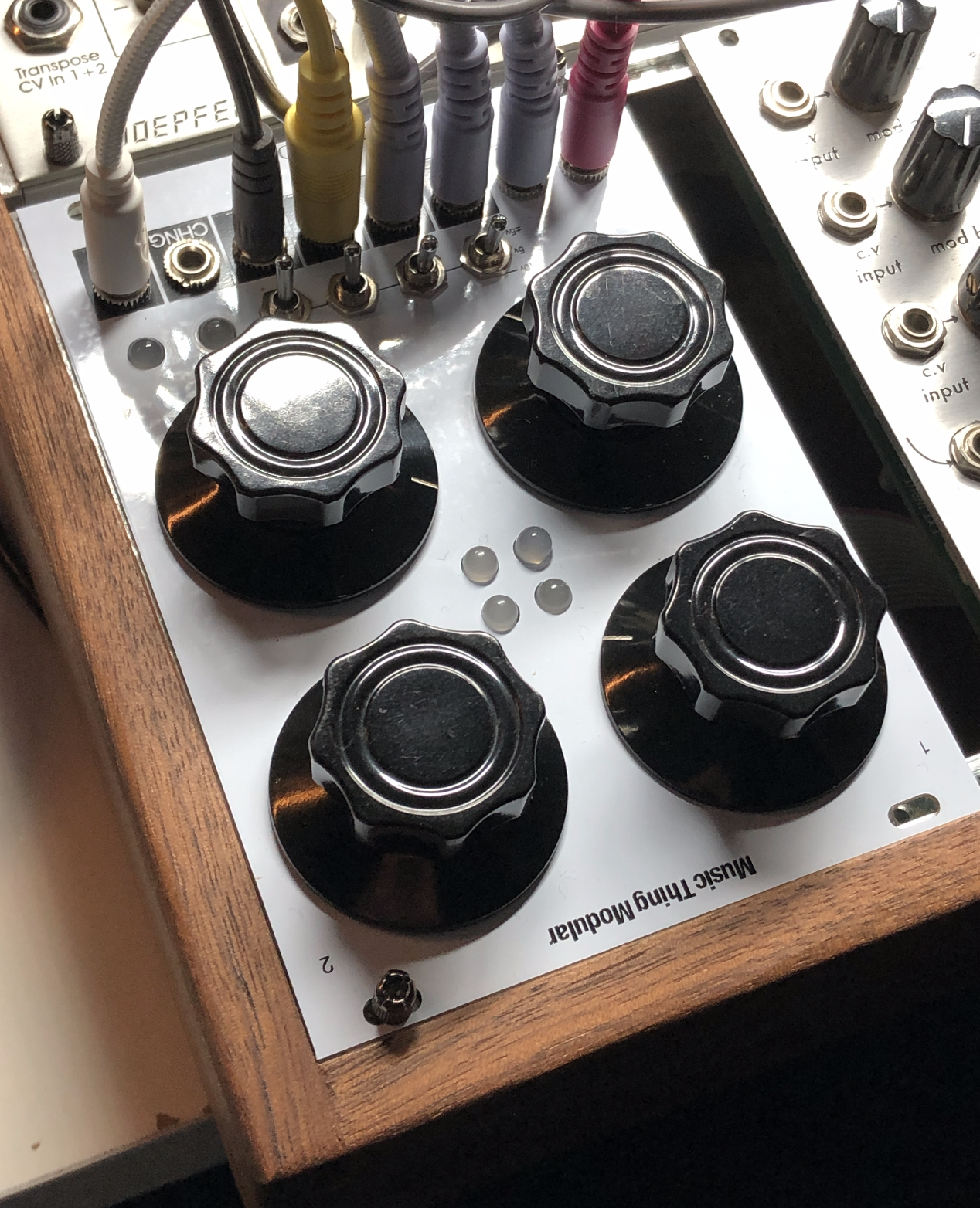 鍵盤楽器 Music Thing Modular Radio Music 1U Music Thing Modular Radio Music - What To Know & Where To Buy