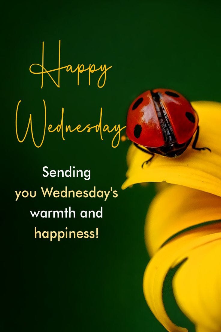 Morning Affirmation: Embrace Positivity and Self-Love | Medium, image size:736x1104