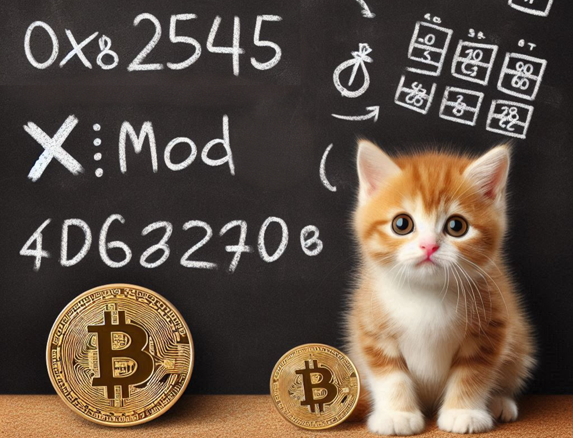 Now that OP_CAT is out of the bag… | by Wei Zhang | Medium