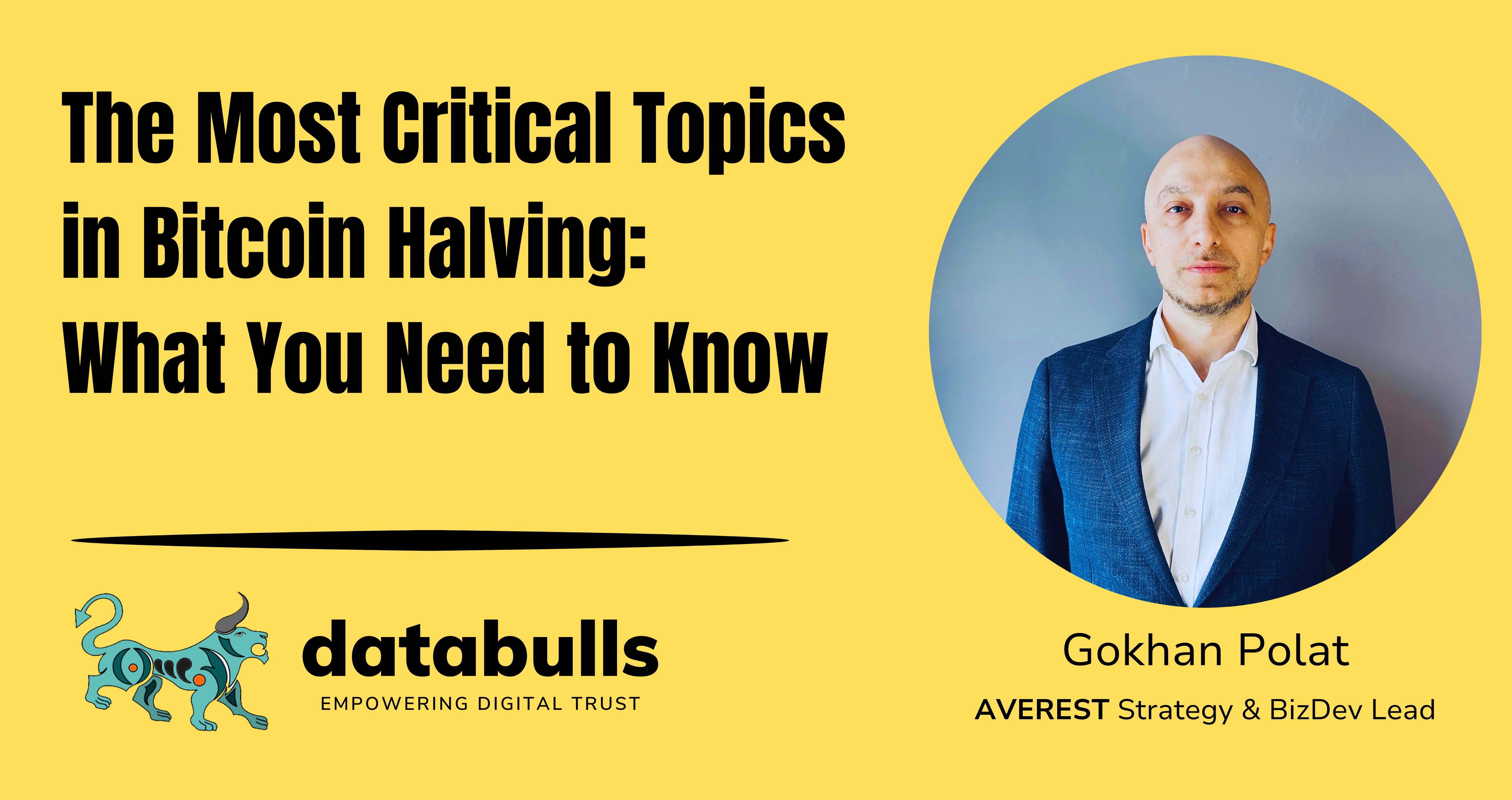 The Most Critical Topics in Bitcoin Halving: What You Need to Know | by  Gokhan Polat ☀️ | DataBulls | Medium