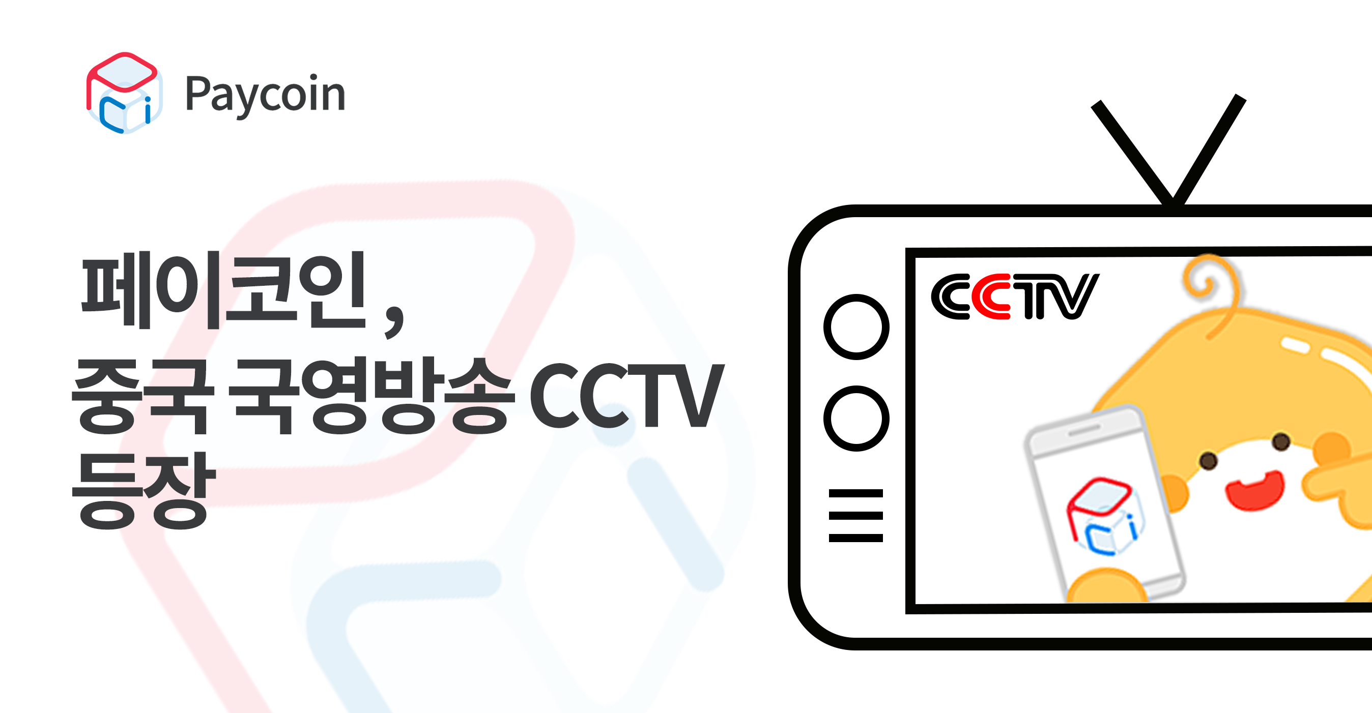 페이코인, 중국 국영방송 CCTV 등장 | by Paycoin (PCI) | Paycoin Blog | Medium