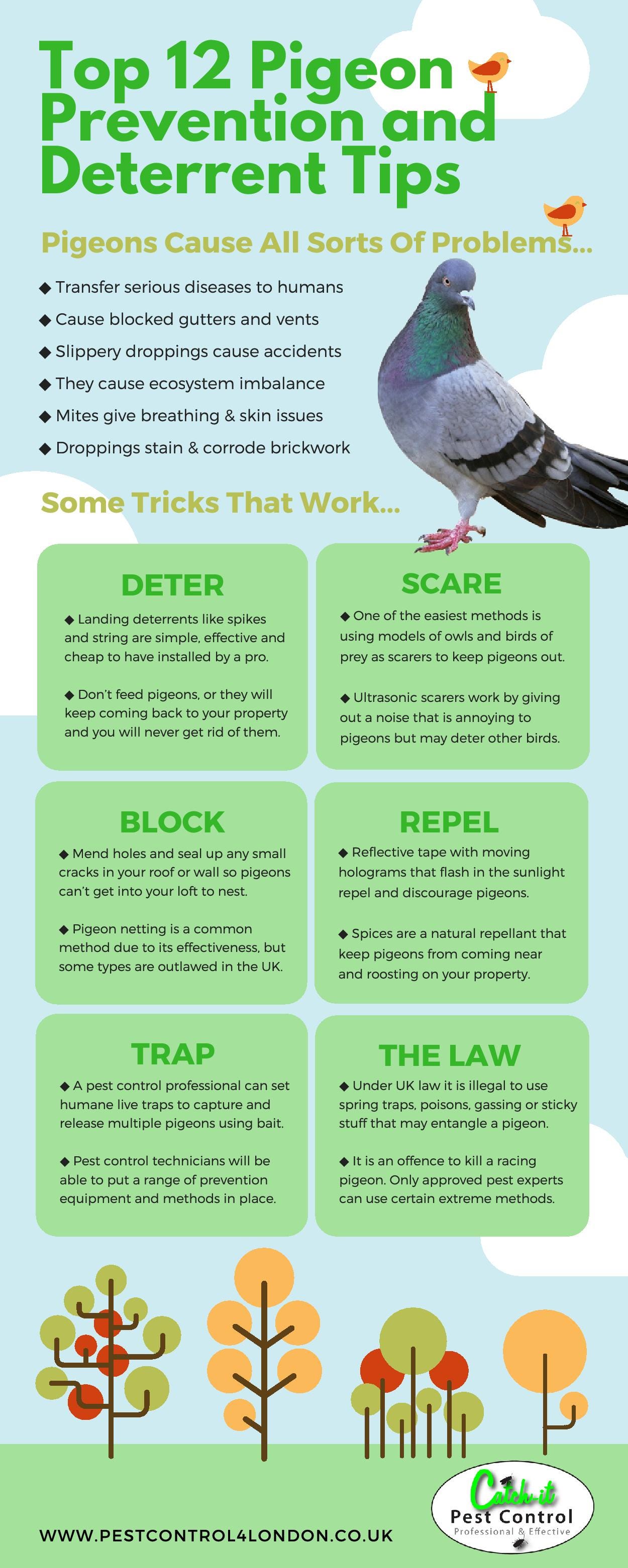 How to Get Rid of Dove Birds 