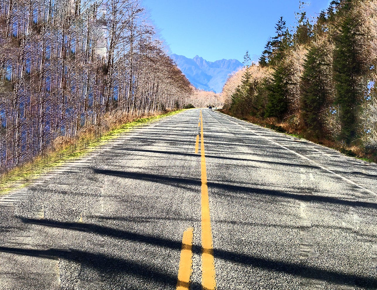 The Road of Life. Did you choose the road you are on? | by Rodrigo 
