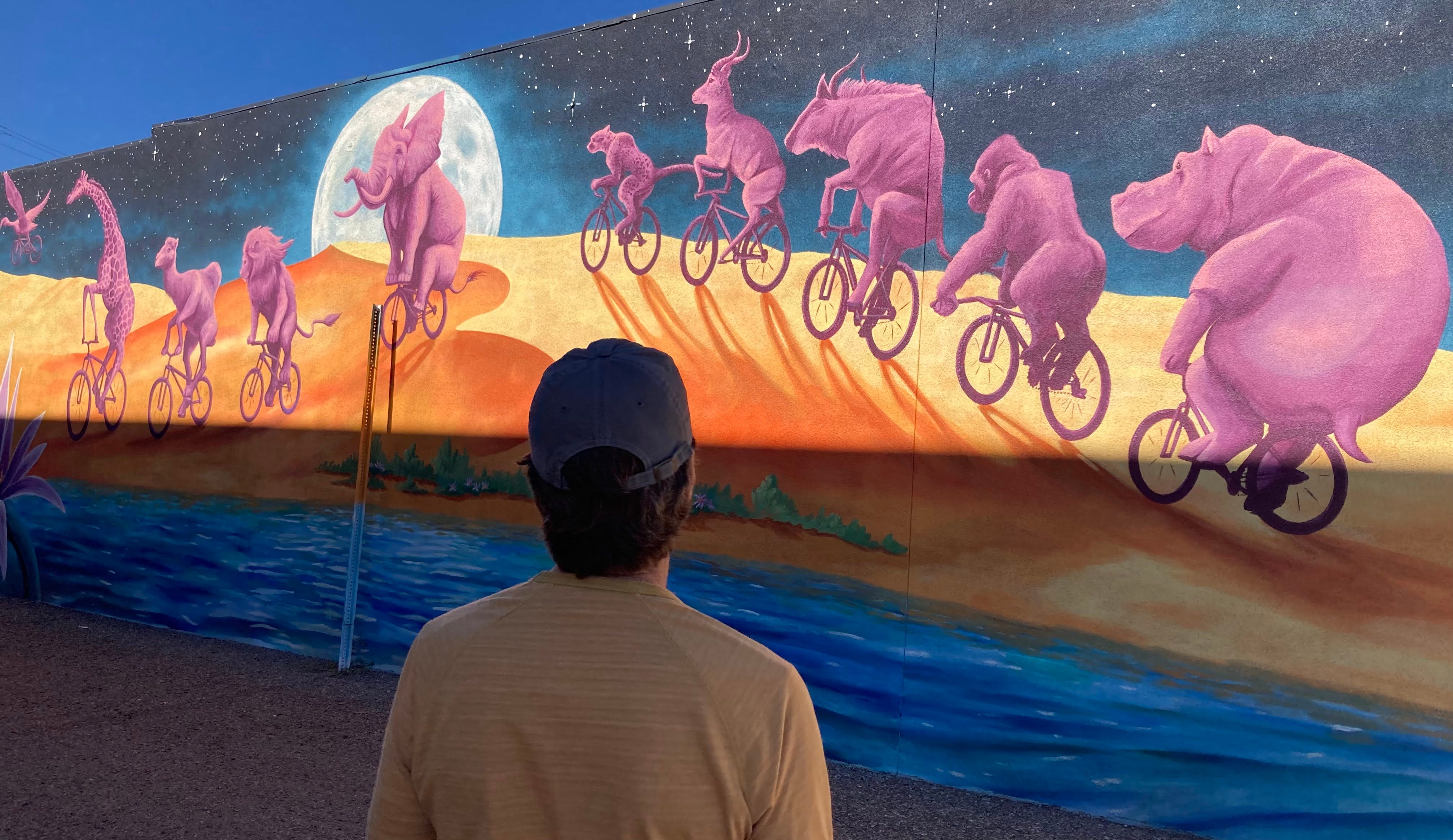 New mural, old art and javelina mascots | I saw it in Tucson, image size:4030x2330