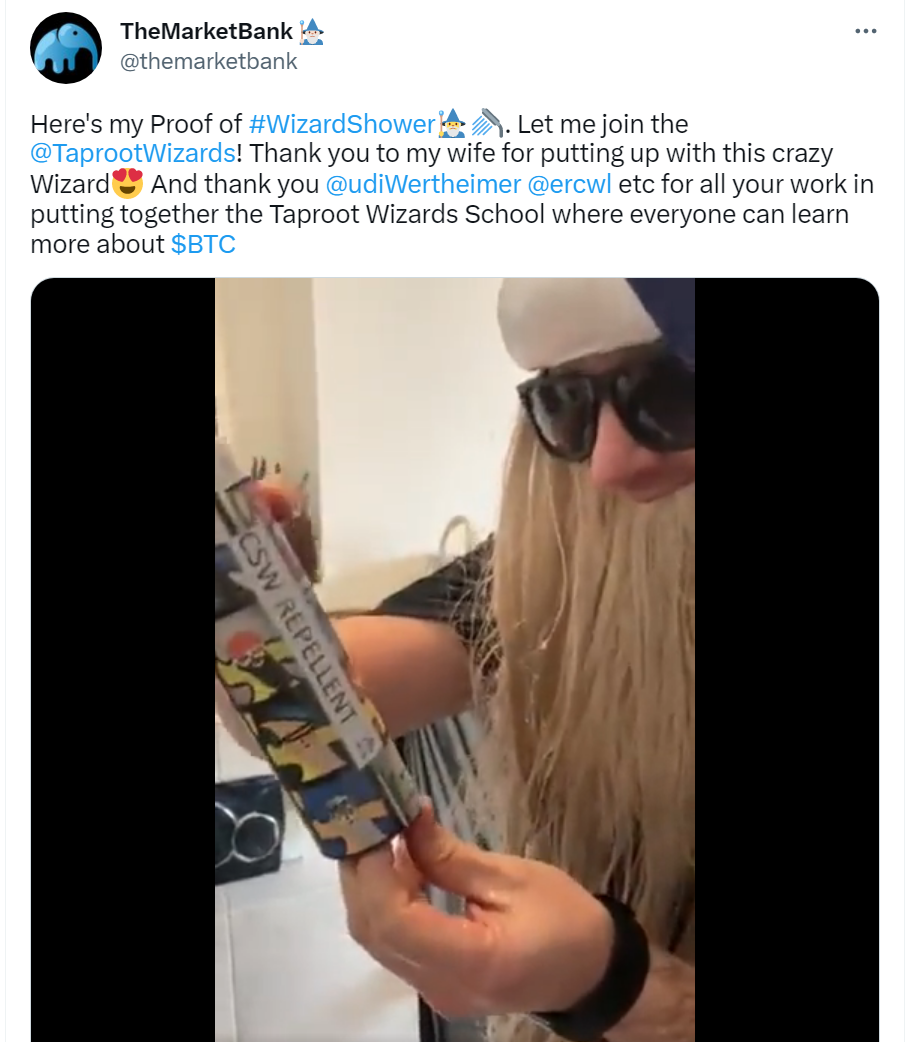 Taproot Wizards Showlture. Hello fellow Wizards, my previous post… | by The  Bitcoin Hodler (@TheMarketBank on Twitter) | Medium