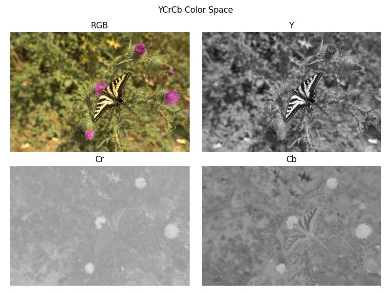 Different channels of the YCrCb color space. Cr and Cb are red- and blue-difference components where lighter pixels indicate more intense colors. The thistle flowers in the photo has bright purple color which is a combination of red and blue, hence the the highlights in both Cr and Cb channels.