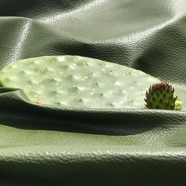 Plant based cactus and pineapple leather | by Andrew Howells | Medium