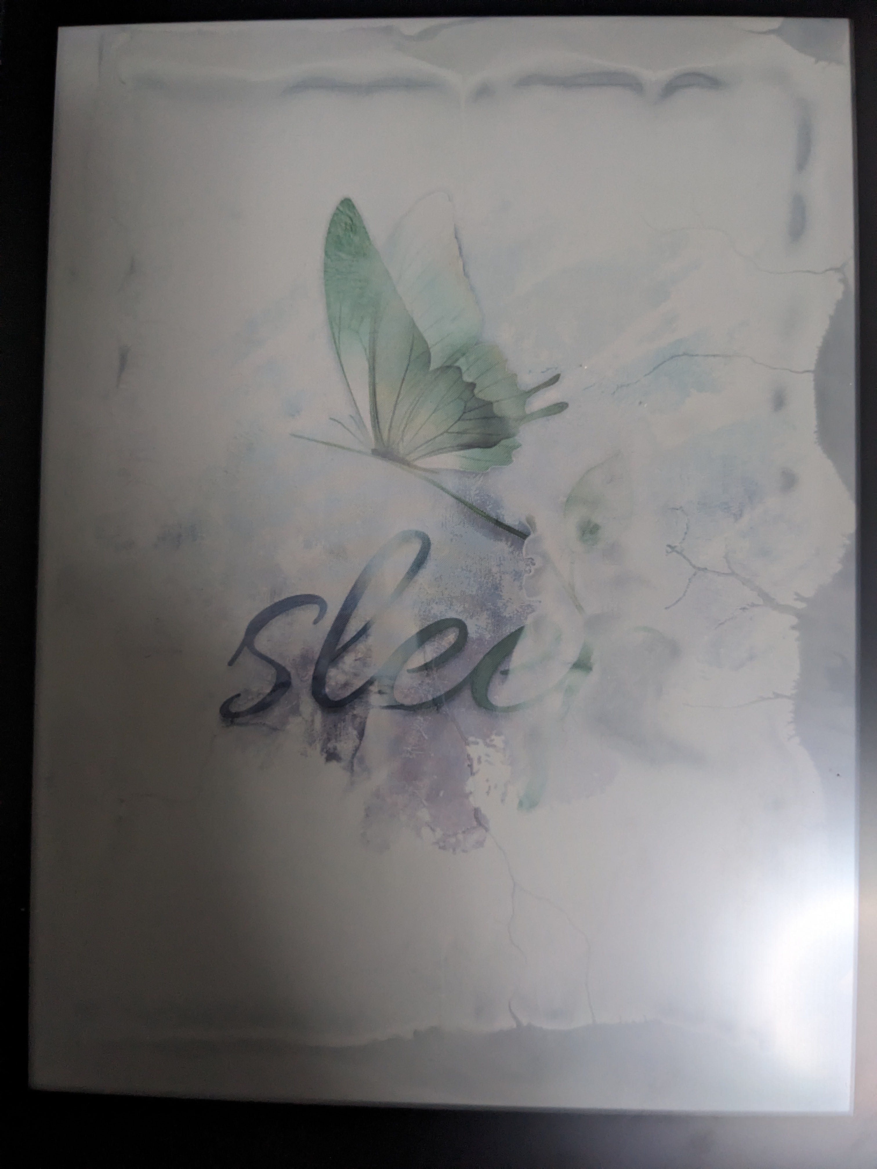あれから1年: Topjoy Butterfly の今 - Noirand - Medium