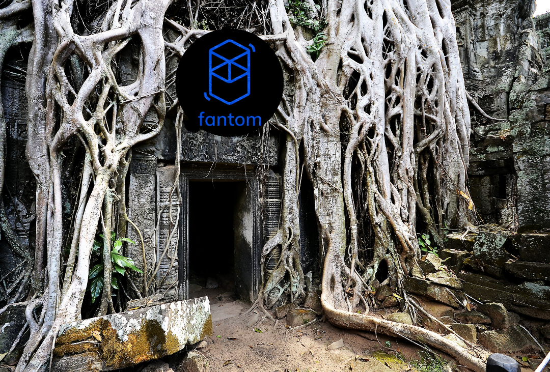 Does Fantom ($FTM) Have a Future? | by D.L. White | Coinmonks | Medium