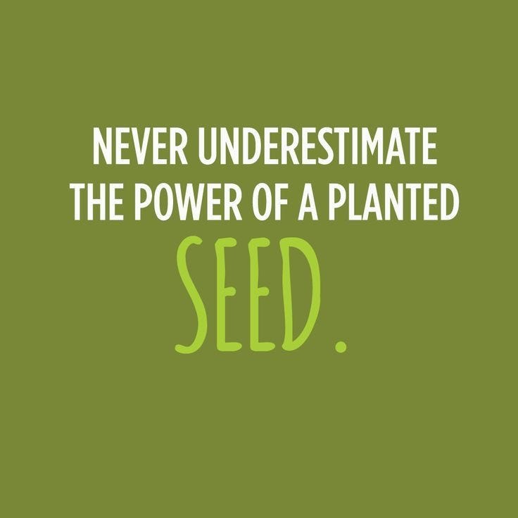You may not always get to see the seeds you plant bloom, but | by T Lynne  | Medium